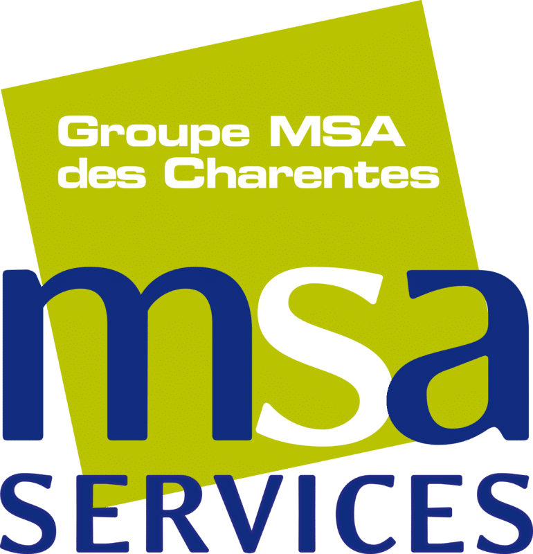 msa services